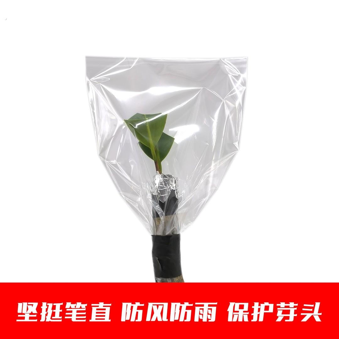 定制款嫁接套袋/高硬度嫁接套袋/风吹不倒雨压不倒/园艺嫁接袋膜