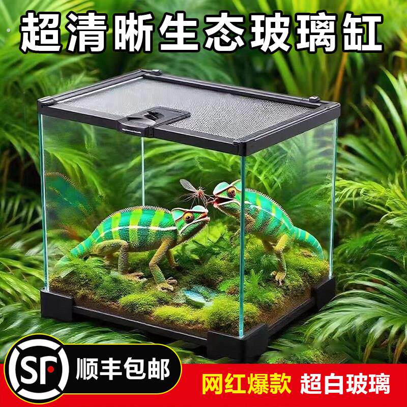 玻璃饲养箱爬虫缸雨林爬宠陆龟守宫蜥蜴角蛙蜘蛛甲虫宠物蛇生态缸