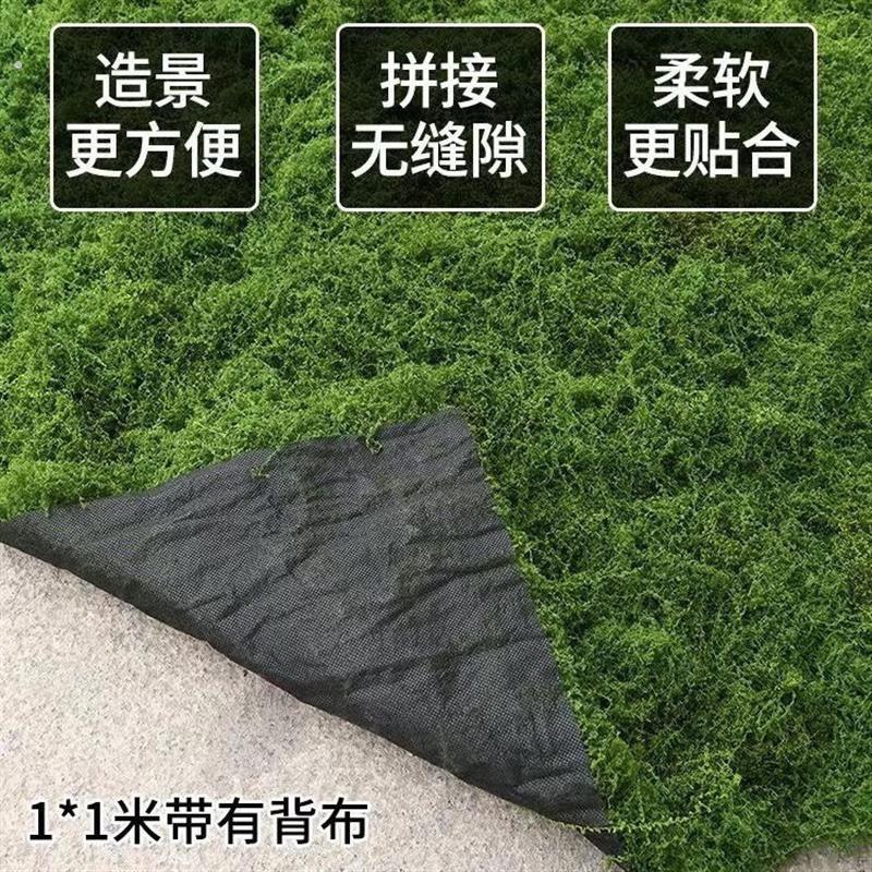 人造假青苔草坪软装橱窗盆景地面铺面造景绿植墙装饰彷真苔藓草皮