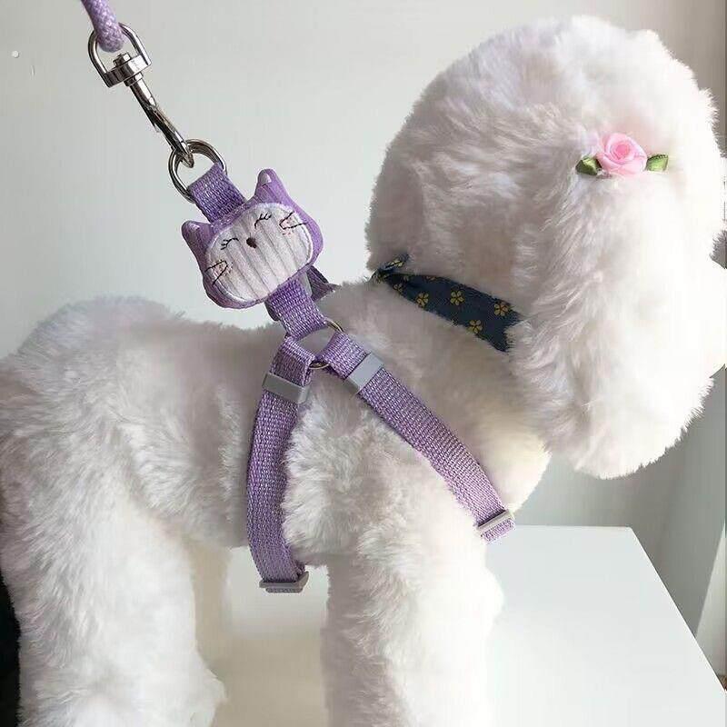 狗狗牵引绳不勒手遛狗绳宠物中小型犬柯基猫咪背心式牵引绳狗链子