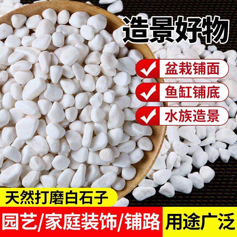 云南白石子白色石头大鹅卵石庭院铺地舖路花园盆栽鱼缸装饰白石子