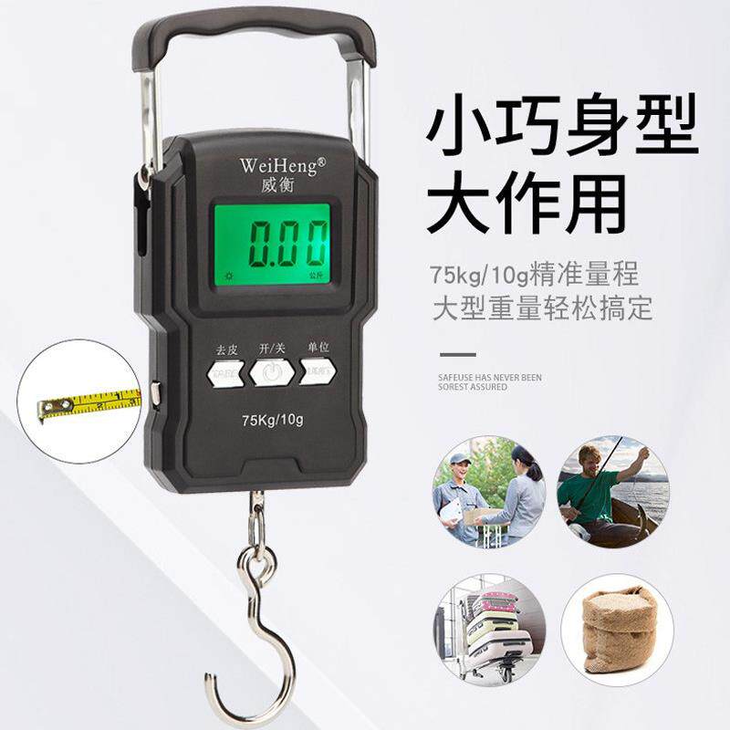 高精度手提电子秤家用弹簧小型可携式迷你称鱼器手拿小巧吊勾小称