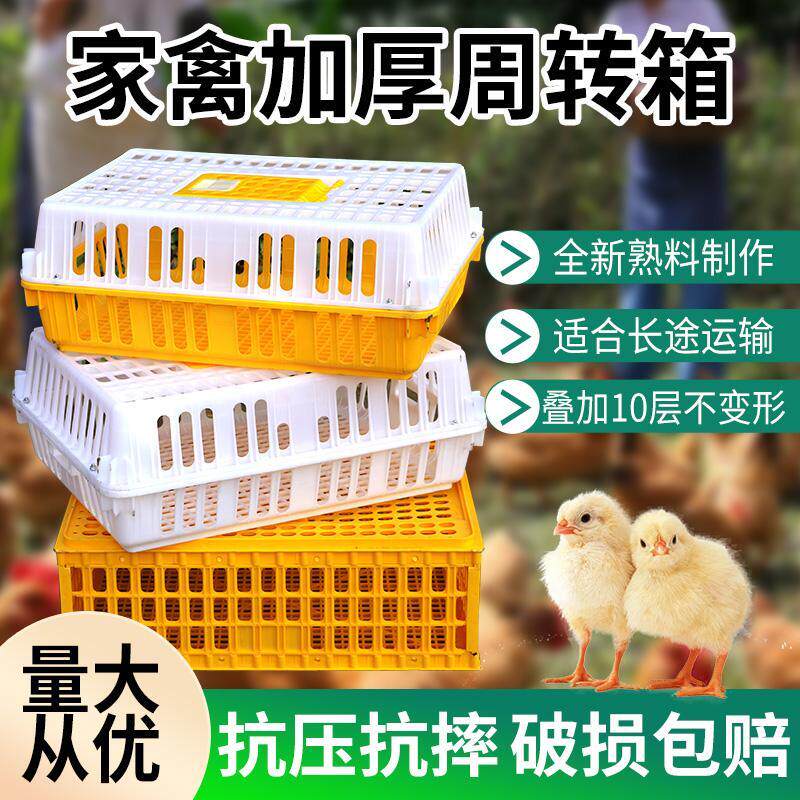 鸡笼周转箱塑料鸡笼运输笼子成鸡鸭周转笼家禽周转箱鸽兔用养殖笼