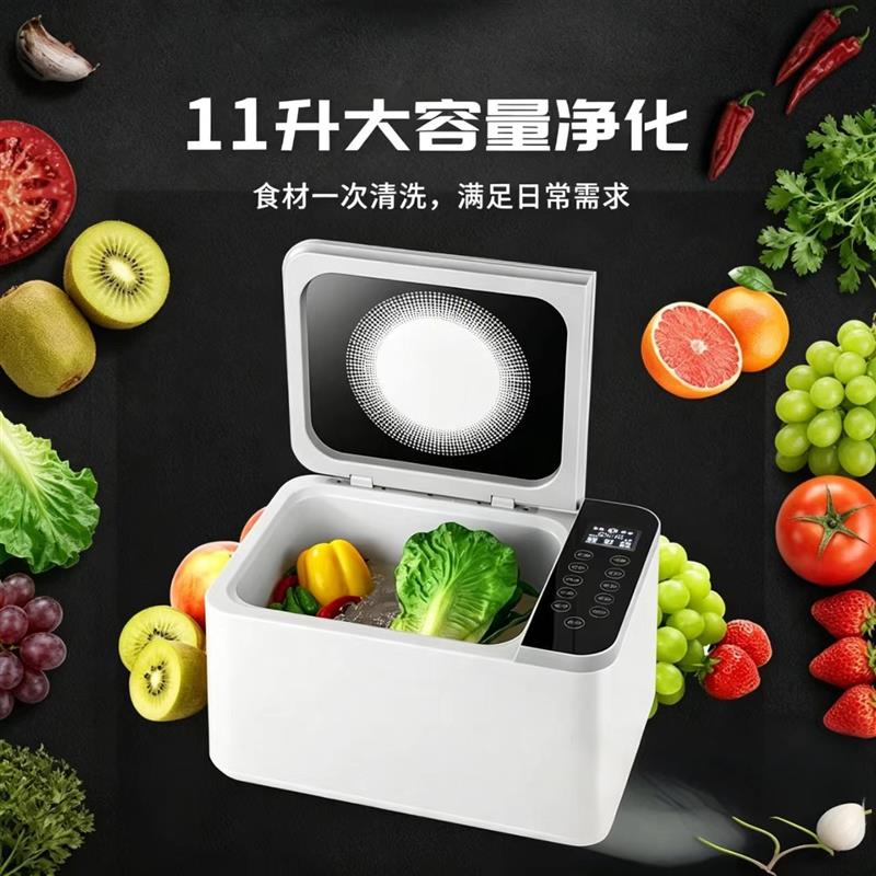 果蔬消毒清洗机净化机去农残全自动洗菜机器家用羟基水离子洗水果