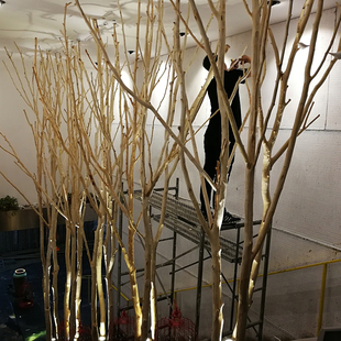 树枝装饰树杈干枝屏风枯树枝干造型去皮原木diy手工造景幼儿园树