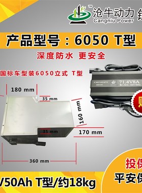 60V外卖大容量锂电池30a40a50a55a65ah100Ah120安时厂家直供定制