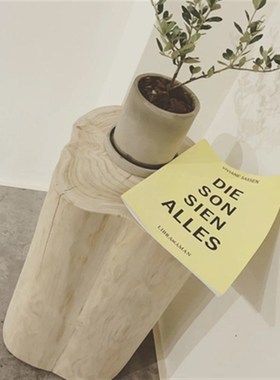 天然原木客厅木墩花架婚庆道具装饰木桩服装店树桩摆件花盆底座