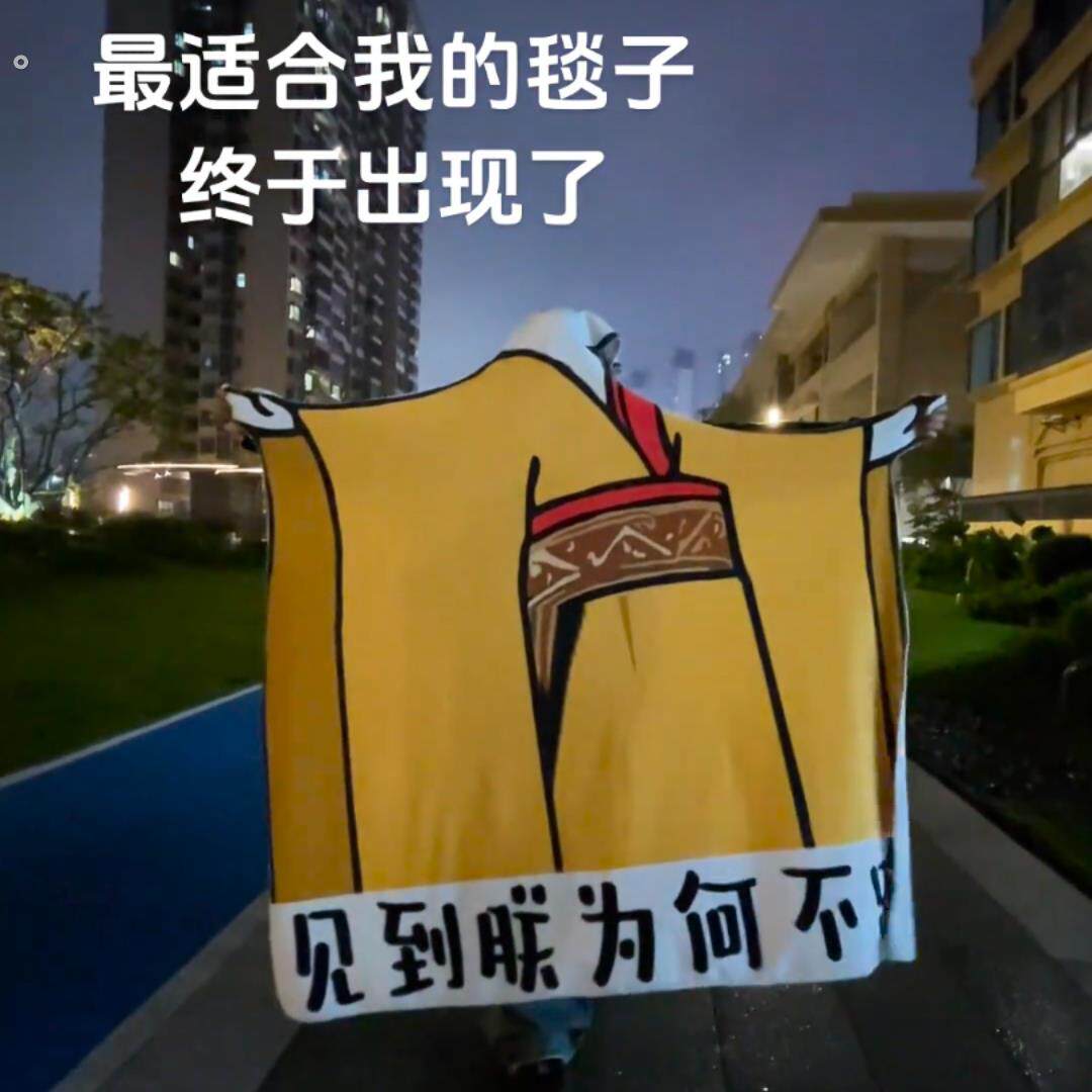 见到朕为何不跪毯子整人龙图皇帝午睡午休毯抽象神经法兰绒毛毯