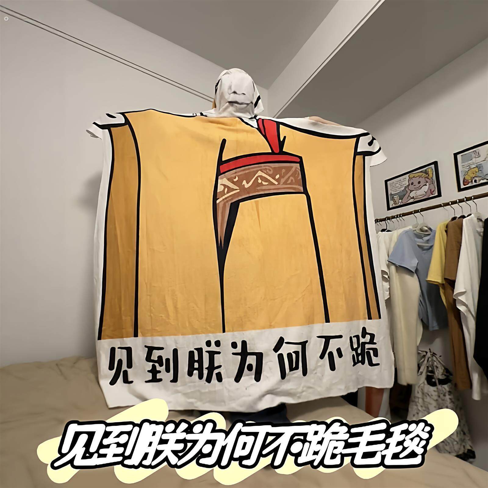 见到朕为何不跪毛毯宿舍椅子毯子皇帝龙图异型搞怪午睡毯子送朋友