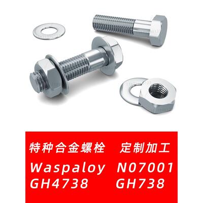 Waspaloy螺栓GH4738螺丝内外六角N07001螺母GH738螺杆平垫紧固件