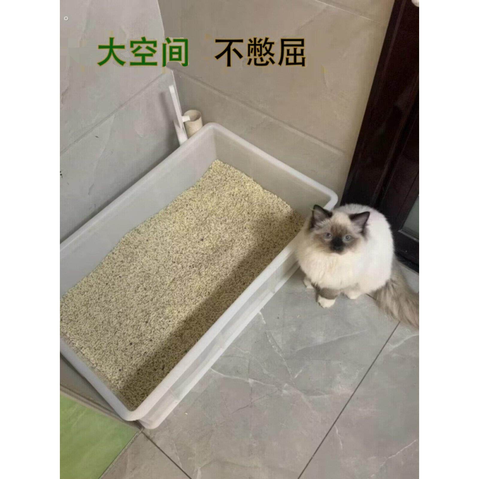 缅因州猫容器猫砂盒完全打开超大翻转箱巨型超大猫厕所