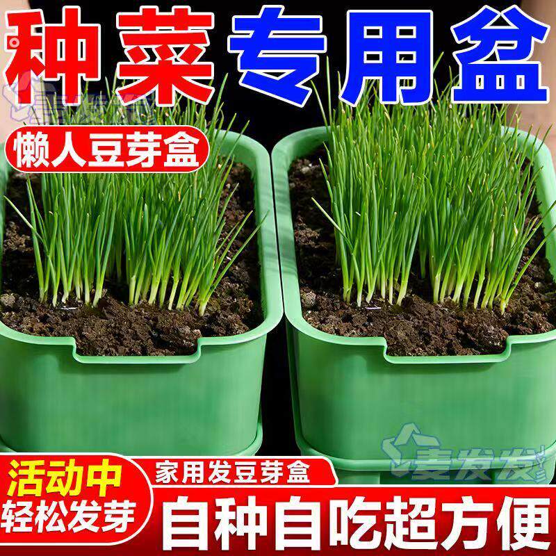新款发豆芽机家用快速发豆芽种植发芽盆豆芽机种菜专用发豆芽神器
