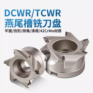 燕尾刀盘45度 55度 60度V型槽TCWR加工中心刀盘燕尾槽铣刀盘
