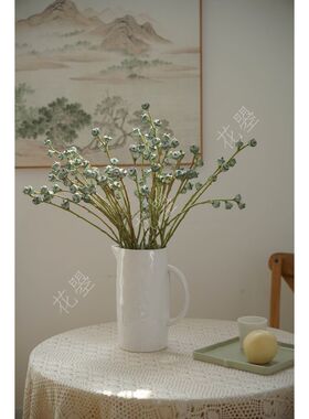 花曌 新鲜尤加利果鲜花尤加利果鲜果真果实可做干花家居瓶插花
