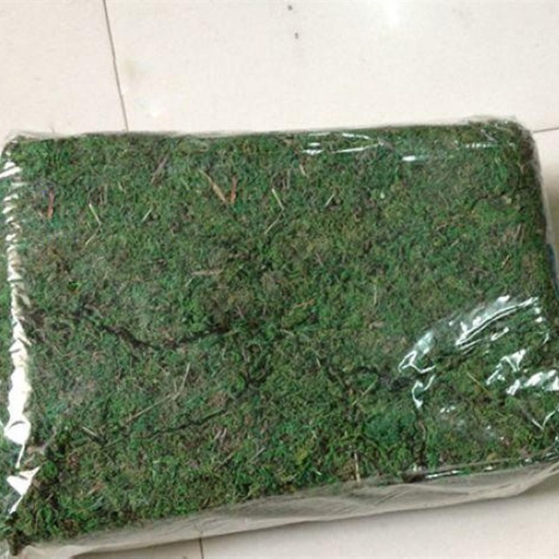仿真青苔 人造苔藓青苔草仿真草坪青苔 盆景填充装饰青苔石头