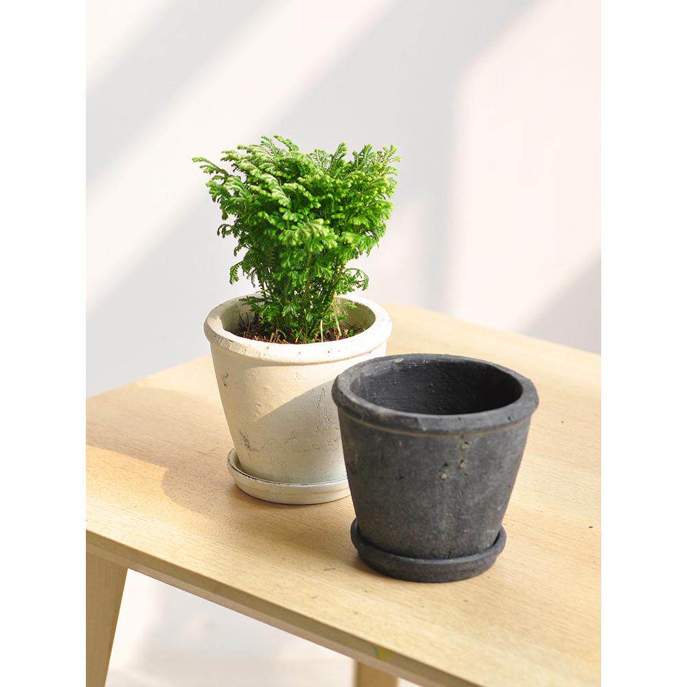 九思 黑白纯色粗陶花盆 小型桌摆植物种植盆 红陶透气透水P024