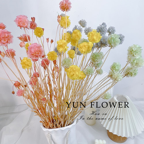 风车果多头干花永生花单头插花小瓶子装饰拍摄道具diy手工花材