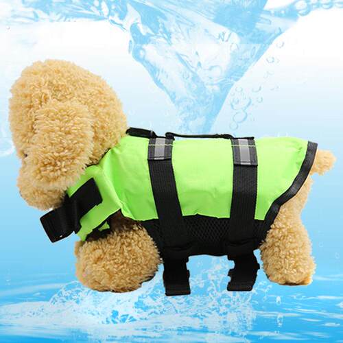 宠物狗狗救生衣泳衣衣服用品夏款宠物游泳衣小中大型犬狗救生猫咪