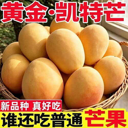 【秒杀专享】正宗攀枝花黄金凯特芒5斤净重时令水果新鲜皮薄肉厚