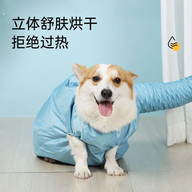 宠物烘干袋吹水机大型犬专用狗狗吹干神器狗用吹风机小型泰迪抖音