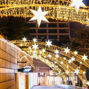 太阳能树上挂的彩灯闪灯串灯满天星led灯带户外缠树灯大树装饰灯