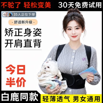 白鹿同款成人矫正带女士背部矫正神器轻薄青少年儿童驼背体态矫正
