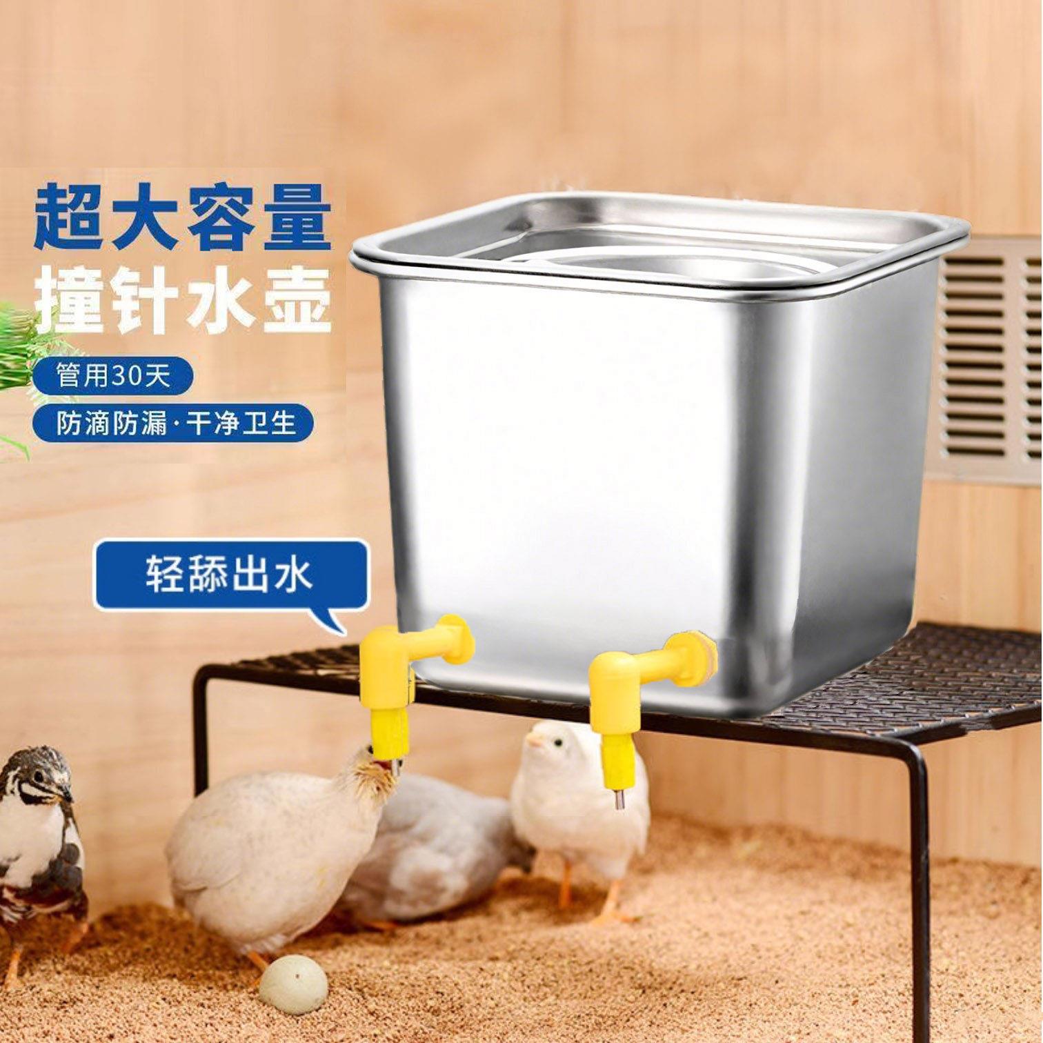芦丁鸡饮水器撞针式饮水器鹦鹉水壶宠物用品小鸡喂水喂食器鹌鹑用