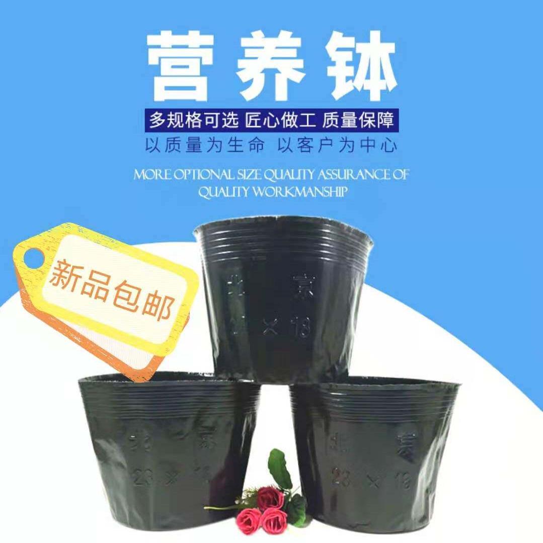 花卉一次性黑色塑料营养钵大号园艺育苗杯花盆育苗袋器加厚可订制