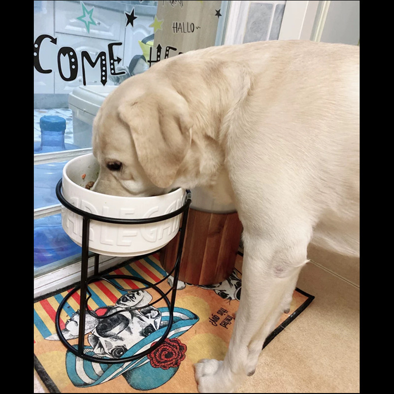狗盆狗碗猫碗狗饭盆狗食盆大型犬狗粮碗铁艺狗碗架水盆护颈防打翻