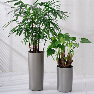 宜植堂北欧简约高直筒花盆细高型高款懒人自动吸水红掌白掌水培盆