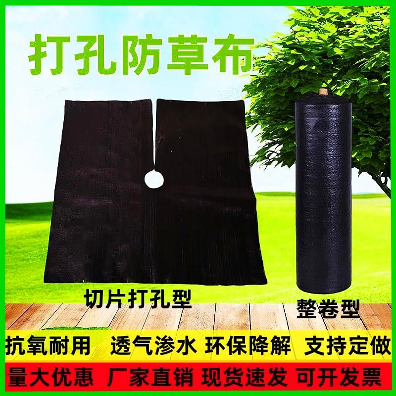 加厚抗老化打孔防草布农用果园除草布盖草遮草布透水切片园艺地布