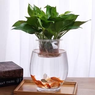 圆形玻璃鱼缸小型桌面家用客厅金鱼缸创意办公室迷你水培龙蛋鱼缸