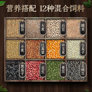 鸽子食粮万家有玉米营养鸽粮赛鸽信鸽肉鸽食饲料广东省内20斤包邮