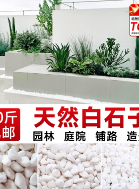 天然白石子碎石头庭院铺路地鹅卵石阳台装饰花园造景景观白色石子