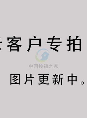 正浩陶瓷保险丝管R017陶瓷保险丝22X58保险管100A 125A熔断器熔芯
