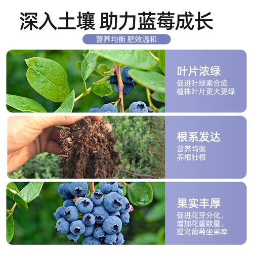 蓝莓肥料专用肥蔬果增甜膨果调酸有机复合肥水溶肥植物通用营养液