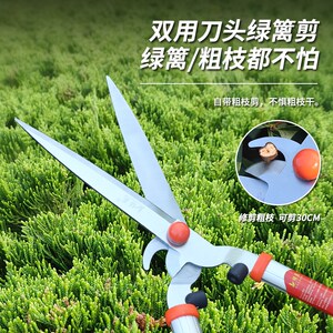绿苑伸缩篱笆剪绿篱剪园艺强力大剪刀修剪草坪绿化花剪加长修枝剪