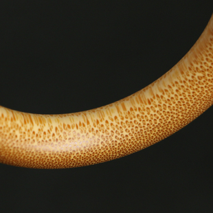 天然实心老玉竹手镯文玩男女款金丝竹制镯子竹根手串大号竹圈圆环