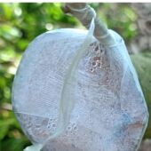 超薄嫁接膜免拆打结非糯米纸嫁接薄膜农用果树苗木嫁接塑料膜地膜