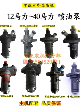 ZS1100 1115L24L28L32HS400CF1125CF33柴油机喷油泵12匹15 22马力