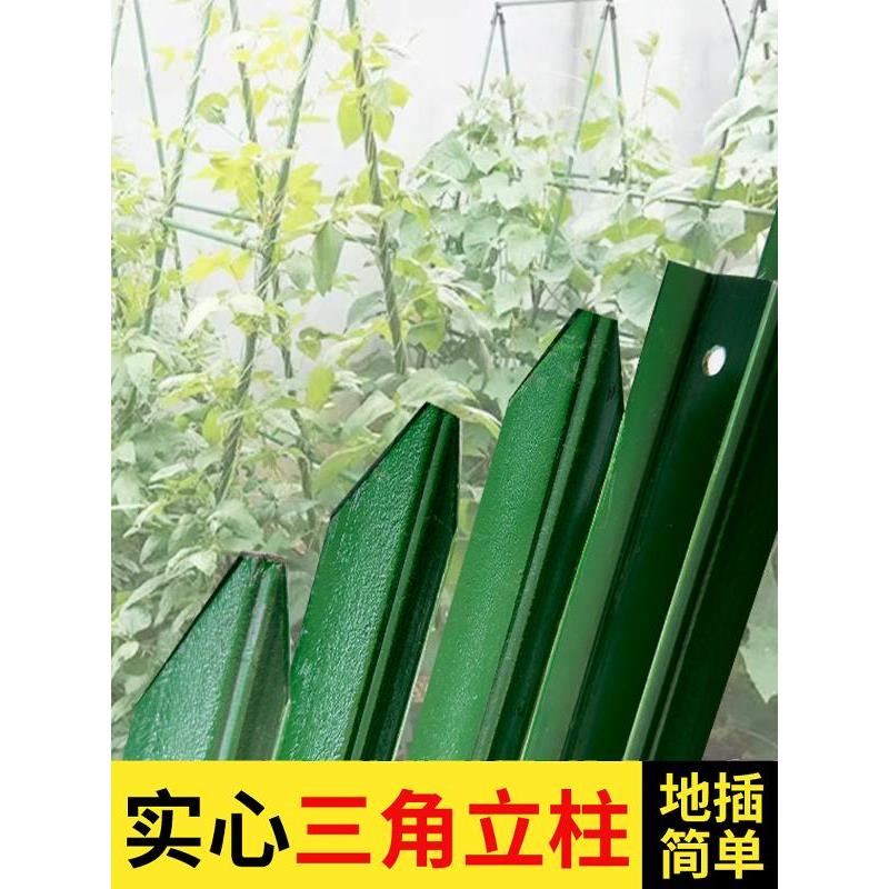 黄瓜豆角爬藤架三角铁丝网实心围栏立柱杆桩Y型铸铁尖头柱支撑杆