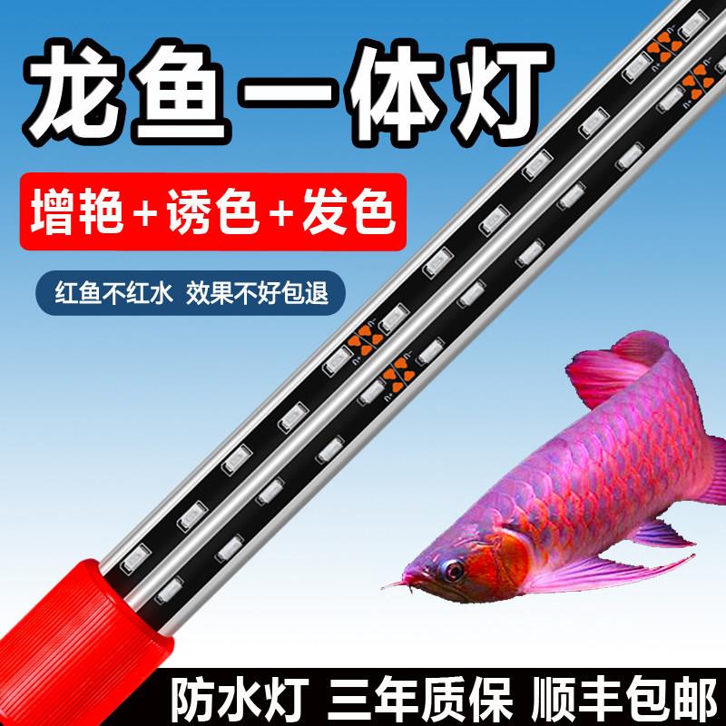 鱼映四维神灯龙鱼专用灯观赏鱼缸灯增艳增色灯定时led防水潜水灯