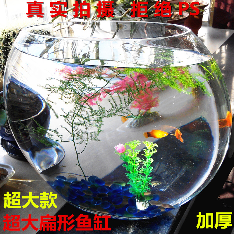 大号异形透明扁形超白鱼缸圆形扁口玻璃鱼缸时尚家居摆件花瓶花器