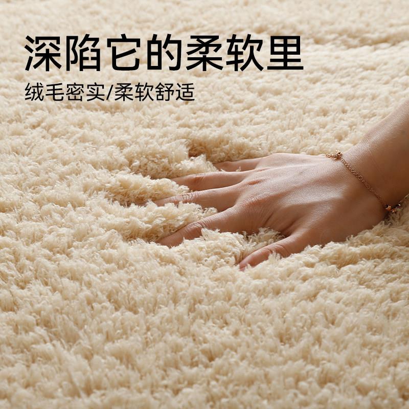 冬天地毯客厅茶几毯加厚毛绒卧室床边毯ins风房间大面积满铺地垫