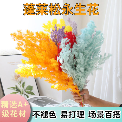 永生蓬莱松干花真花束摆件客厅桌面家居装饰DIY手工花材拍摄道具