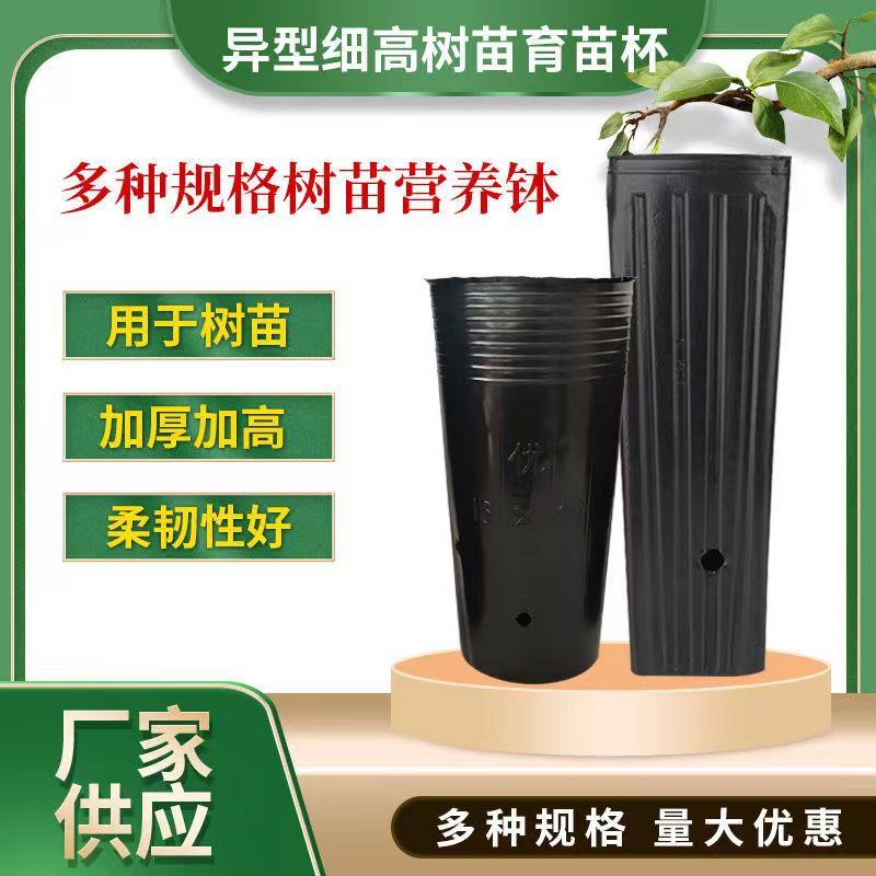 异型营养钵细高育苗杯树苗用育苗盆塑料营养杯一次性黑色育苗袋