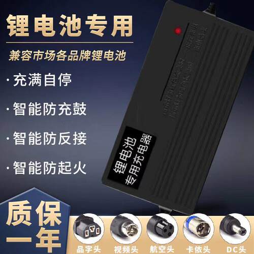 适用 蜂鸟锂电池电动车充电器24V36V48V10A42V2A54.6V3A60v锂离子
