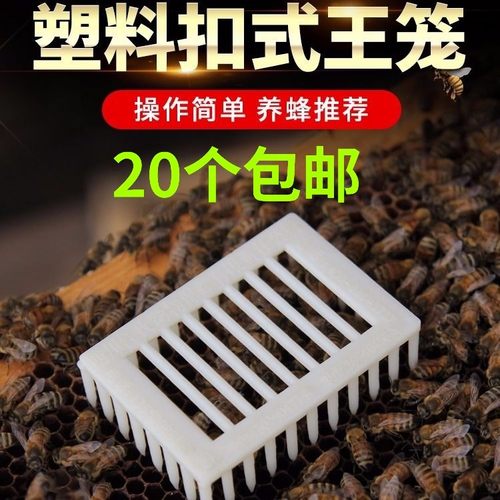 蜜蜂工具 塑料王笼 全塑多功能囚王笼 蜂王笼 针式王笼 养蜂用具