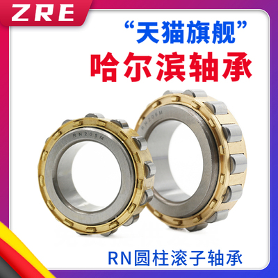 减速机轴承RN203 204 205 206 207 208 209 210 212 213 214 215M