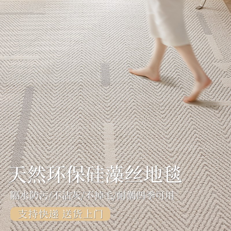 轻奢高级感客厅2025新款卧室床边地垫子可擦大面积全铺免打理地毯